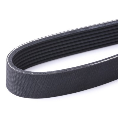 V-Ribbed Belt RIDEX 305P0457 305P0457 - photo 4