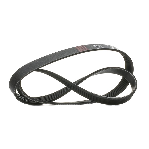 V-Ribbed Belt RIDEX 305P0061P 305P0061P - photo 1