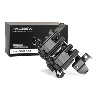 Ignition Coil RIDEX 689C0109 689C0109 - photo 3