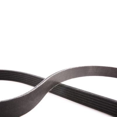 V-Ribbed Belt RIDEX 305P0171P 305P0171P - photo 5