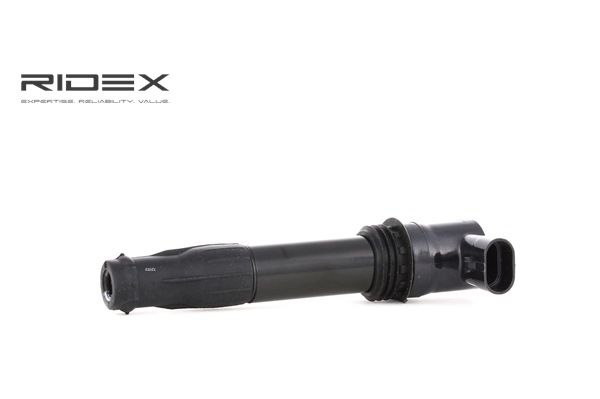 Ignition Coil RIDEX 689C0260 689C0260 - photo 1