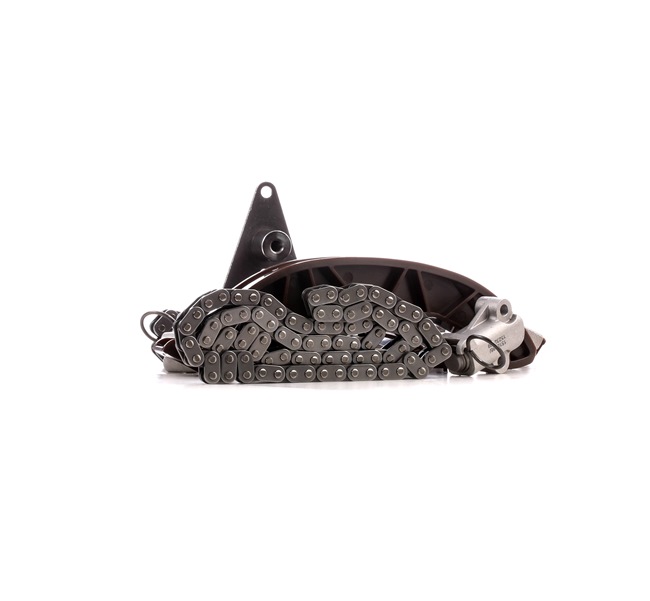 Timing chain kit RIDEX 1389T0120 1389T0120 - photo 1