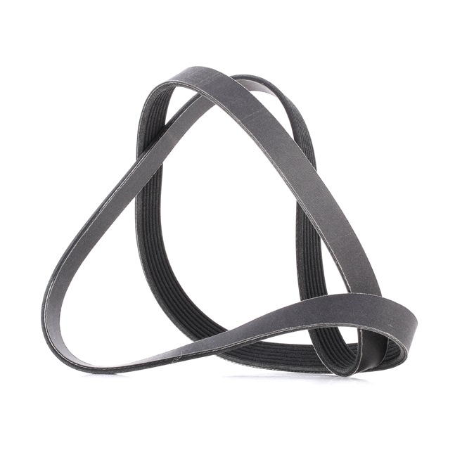 V-Ribbed Belt RIDEX 305P0241P 305P0241P - photo 1