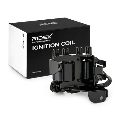 Ignition Coil RIDEX 689C0086 689C0086 - photo 2