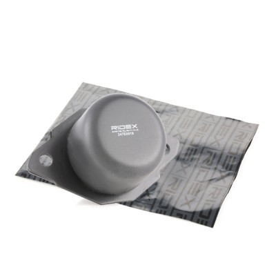Engine Mounting RIDEX 247E0019 247E0019 - photo 2