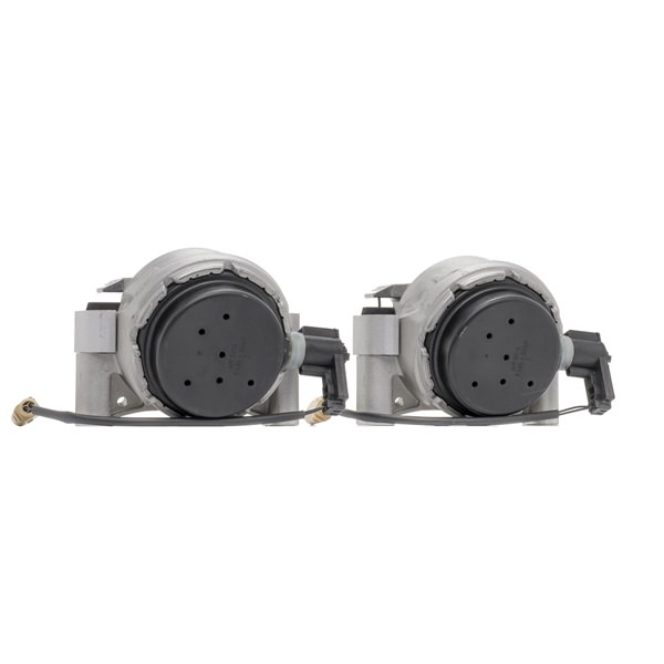 Engine Mounting RIDEX 247E0584 247E0584 - photo 1