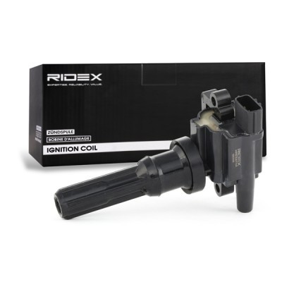 Ignition Coil RIDEX 689C0049 689C0049 - photo 3