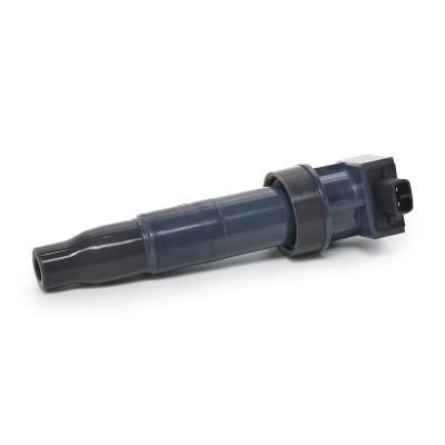 Ignition Coil RIDEX 689C0193 689C0193 - photo 5