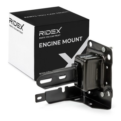 Engine Mounting RIDEX 247E0807 247E0807 - photo 2