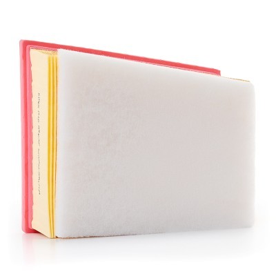 Air Filter RIDEX 8A0676P 8A0676P - photo 4