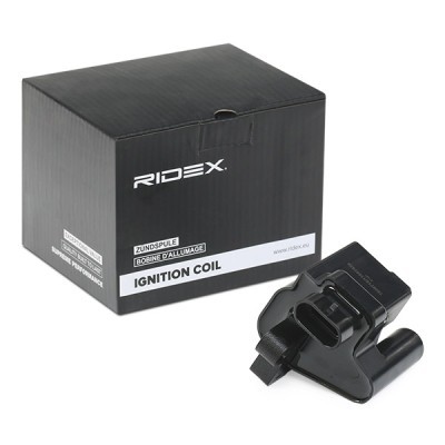 Ignition Coil RIDEX 689C0350 689C0350 - photo 2