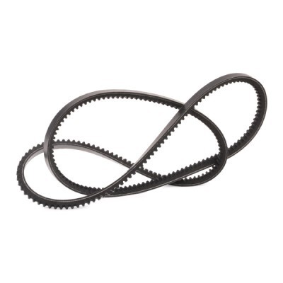V-Belt RIDEX 10C0081P 10C0081P - photo 3