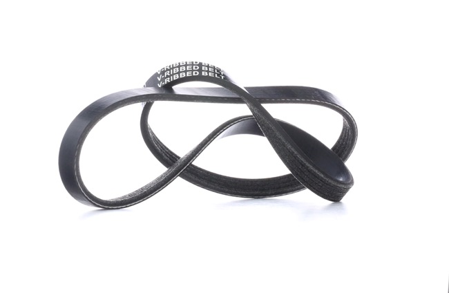V-Ribbed Belt RIDEX 305P0019 305P0019 - photo 1