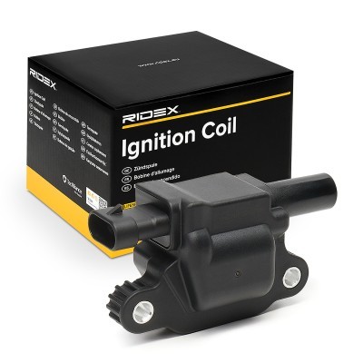 Ignition Coil RIDEX 689C0491 689C0491 - photo 2