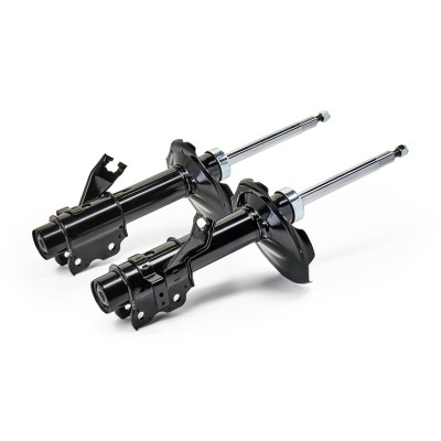 Shock Absorber RIDEX 854S2589 854S2589 - photo 4