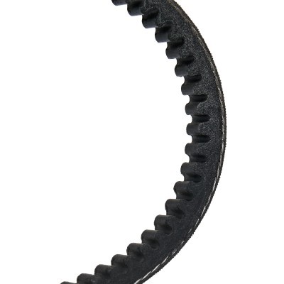 V-Belt RIDEX 10C0002P 10C0002P - photo 3