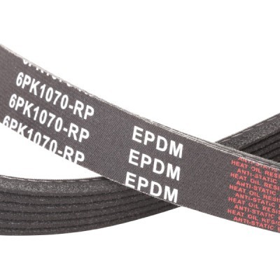 V-Ribbed Belt RIDEX 305P0056P 305P0056P - photo 5