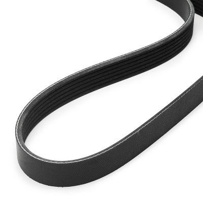 V-Ribbed Belt RIDEX 305P0624 305P0624 - photo 4