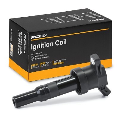 Ignition Coil RIDEX 689C0438 689C0438 - photo 2