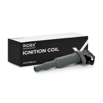 Ignition Coil RIDEX 689C0029 689C0029 - photo 2