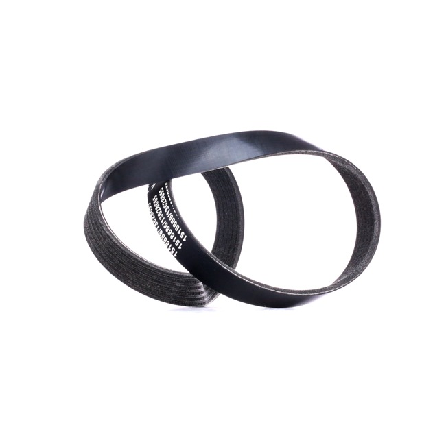 V-Ribbed Belt RIDEX 305P0047 305P0047 - photo 1