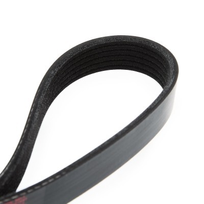 V-Ribbed Belt RIDEX 305P0050 305P0050 - photo 5