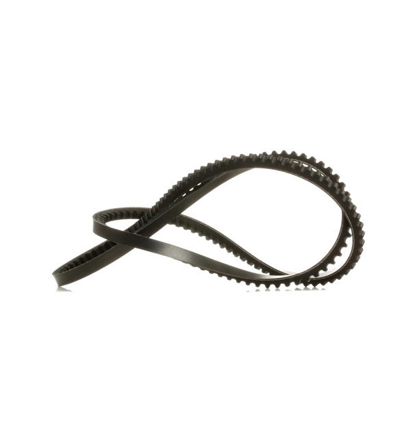 V-Belt RIDEX 10C0079P 10C0079P - photo 1
