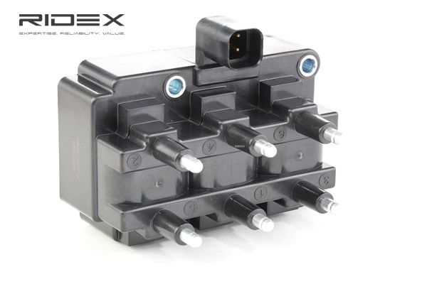 Ignition Coil RIDEX 689C0201 689C0201 - photo 1