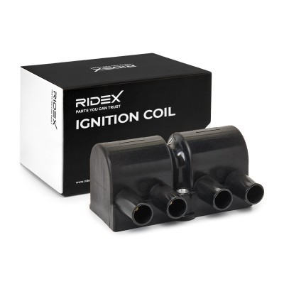 Ignition Coil RIDEX 689C0066 689C0066 - photo 2