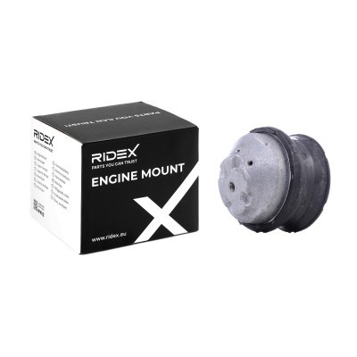 Engine Mounting RIDEX 247E0729 247E0729 - photo 2