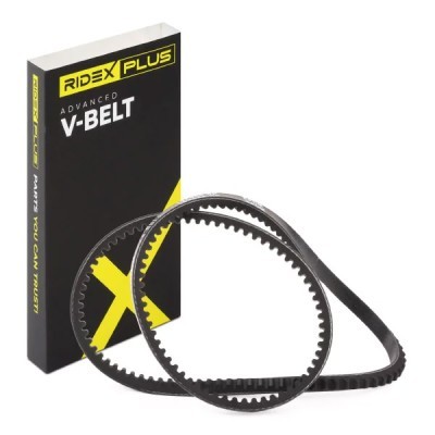 V-Belt RIDEX 10C0031P 10C0031P - photo 2