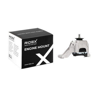 Engine Mounting RIDEX 247E0550 247E0550 - photo 2