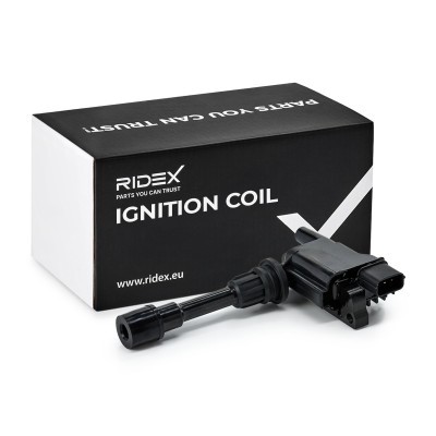 Ignition Coil RIDEX 689C0080 689C0080 - photo 2