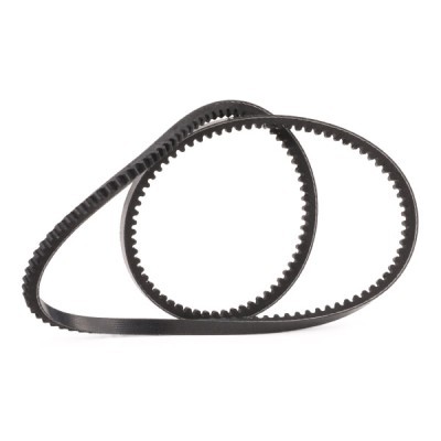 V-Belt RIDEX 10C0022P 10C0022P - photo 3