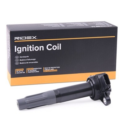 Ignition Coil RIDEX 689C0398 689C0398 - photo 2