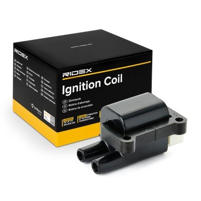 Ignition Coil RIDEX 689C0353 689C0353 - photo 2