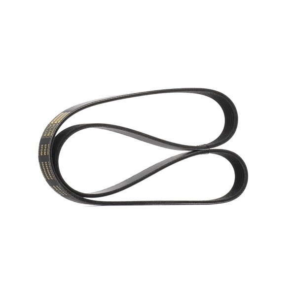 V-Ribbed Belt RIDEX 305P0066P 305P0066P - photo 1
