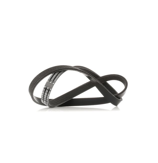 V-Ribbed Belt RIDEX 305P0033 305P0033 - photo 1