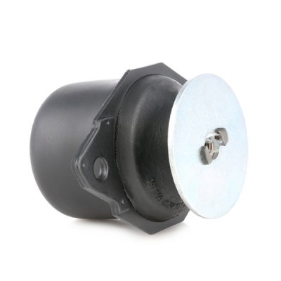 Engine Mounting RIDEX 247E0013 247E0013 - photo 3