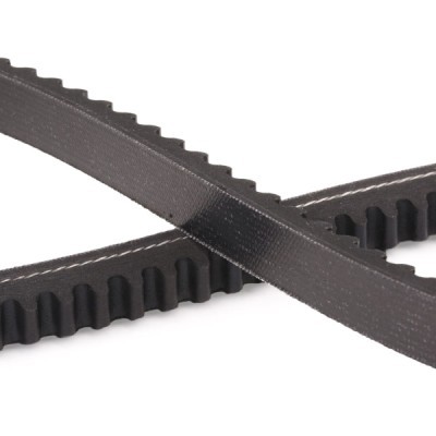 V-Belt RIDEX 10C0027P 10C0027P - photo 5
