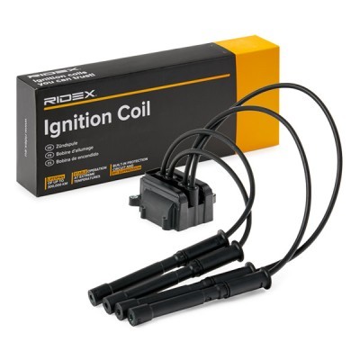 Ignition Coil RIDEX 689C0043 689C0043 - photo 2