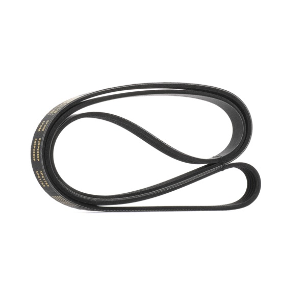 V-Ribbed Belt RIDEX 305P0380P 305P0380P - photo 1
