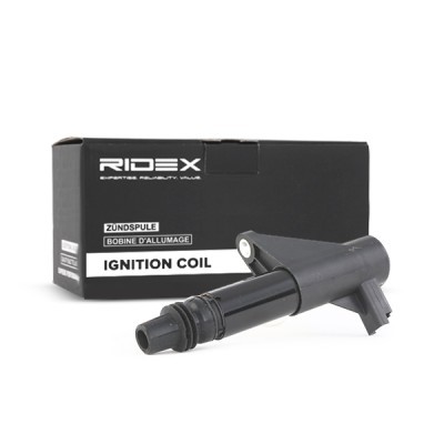 Ignition Coil RIDEX 689C0020 689C0020 - photo 3