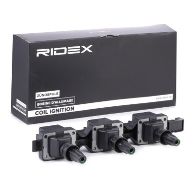Ignition Coil RIDEX 689C0244 689C0244 - photo 3