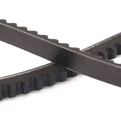 V-Belt RIDEX 10C0031P 10C0031P - photo 5