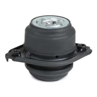 Engine Mounting RIDEX 247E0286 247E0286 - photo 3