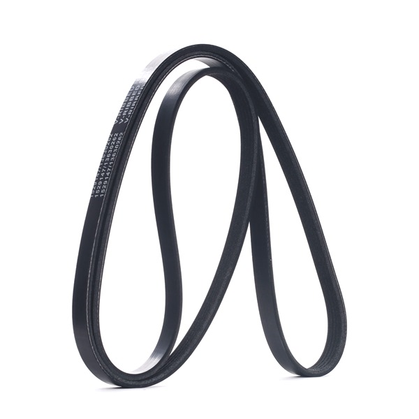 V-Ribbed Belt RIDEX 305P0196 305P0196 - photo 1