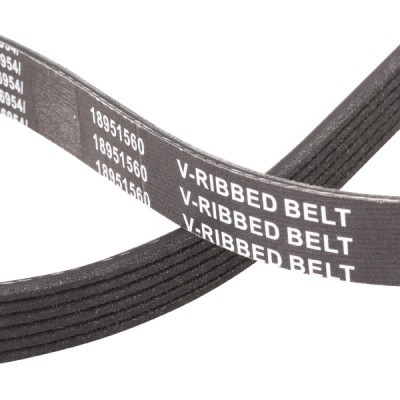 V-Ribbed Belt RIDEX 305P0339P 305P0339P - photo 6