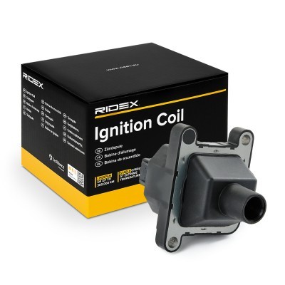 Ignition Coil RIDEX 689C0500 689C0500 - photo 2