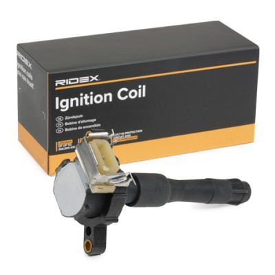 Ignition Coil RIDEX 689C0010 689C0010 - photo 2